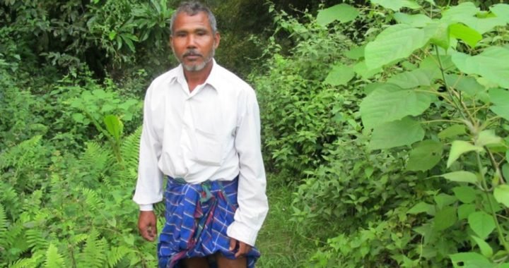 गर्मी का रोना रोने वालों…पर्यावरण रक्षा कोई रॉकेट साइंस नहीं