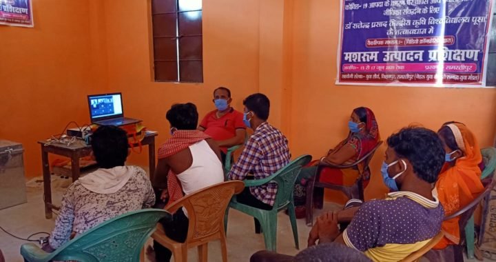 आत्म निर्भर बनने को प्रवासी श्रमिक मशरूम उत्पादन का ले रहे प्रशिक्षण