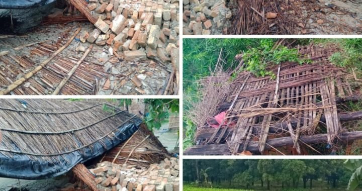 पढ़िए कैसे बारिश ने बिहार वासियों का जीना दुस्वार किया?