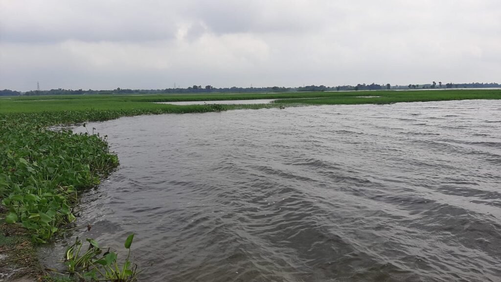 A body of waterDescription automatically generated