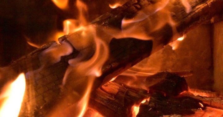 कचरे की राख पर हाथ तापते हुए सरकारी गर्मी का अनुभव कर रहे नागरिक