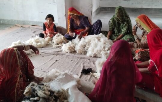 भेड़ पालक कायम दीन: परंपरा से मुनाफे तक का सफर