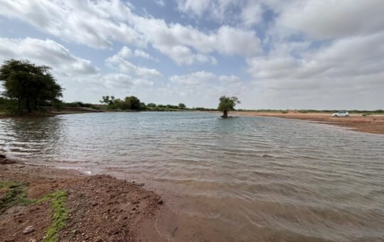 पारम्परिक जल स्रोतों का गुम होता ज्ञान