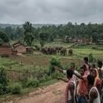 नाम, पहचान और घर छीन लेने का अपराध